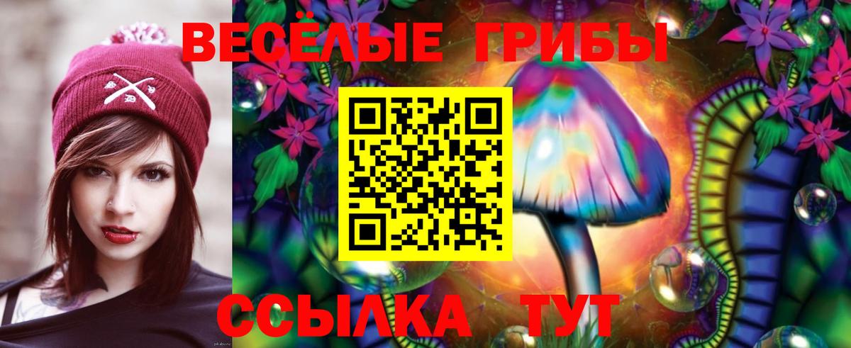 Псилоцибиновые грибы Magic Shrooms Черногорск