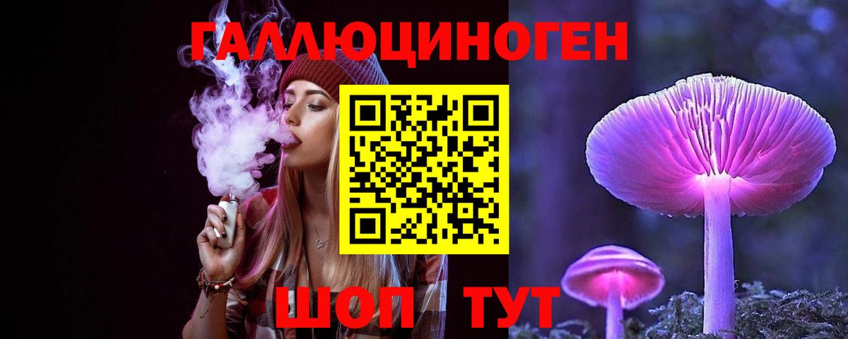 Черногорск  Псилоцибиновые грибы прущие грибы  Вход с VPN 